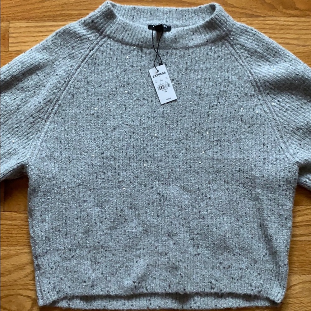 Express Sweater